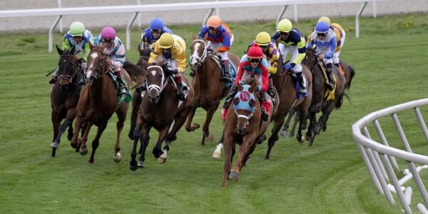 Horse Racing Funding Problem