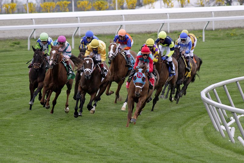 Horse Racing Funding Problem