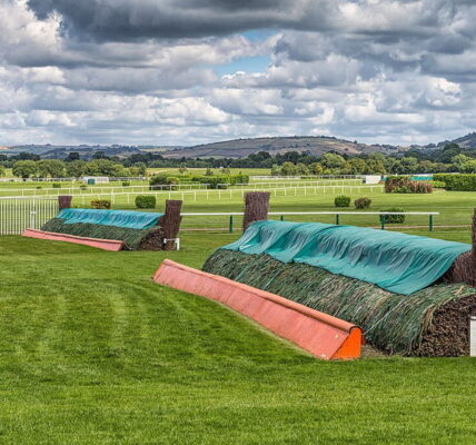 fences at cheltenham racecourse