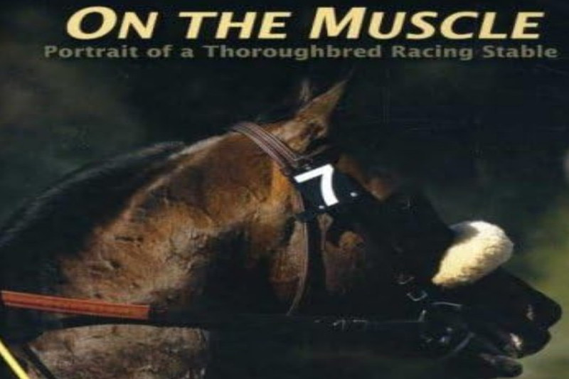 On the Muscle Horse Racing Documentary
