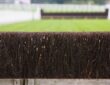 close up of fence horse racing