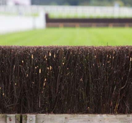 close up of fence horse racing