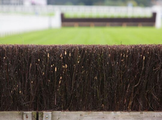 close up of fence horse racing
